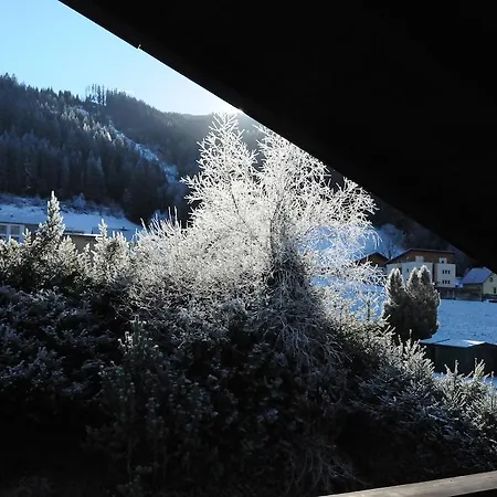 Herz